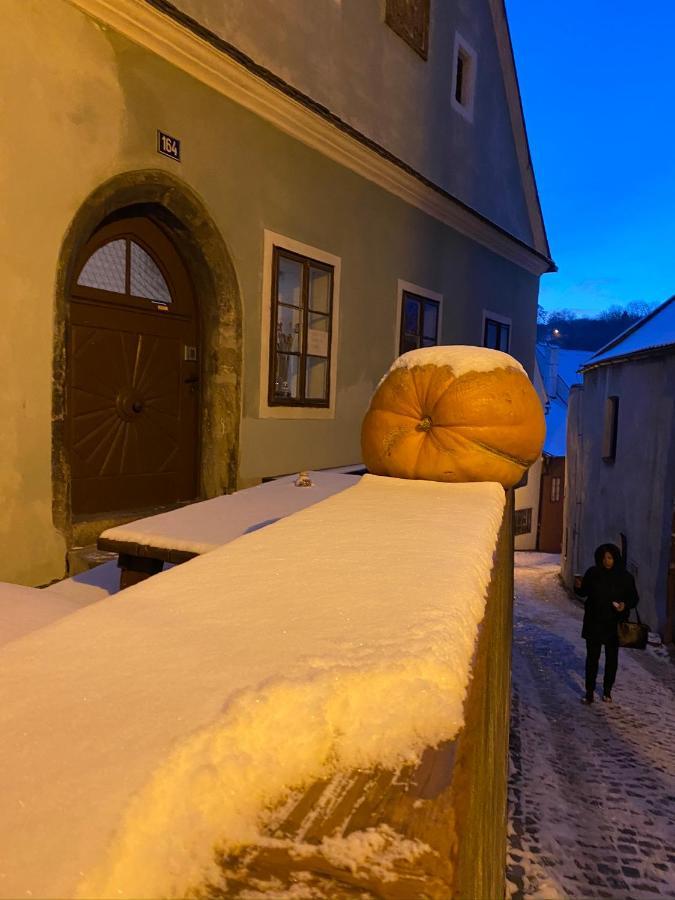 Cesky Krumlov Centrum Ap 6 外观 照片